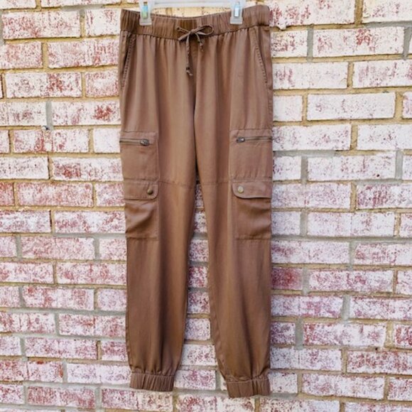Banana Republic Pants - Banana Republic Brown Tencel Joggers size XS